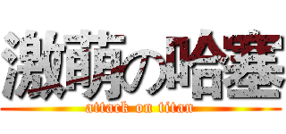 激萌の哈塞 (attack on titan)