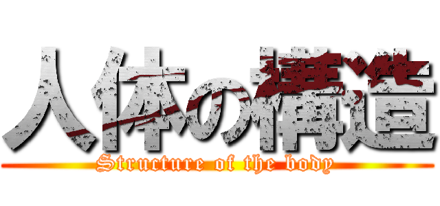 人体の構造 (Structure of the body)