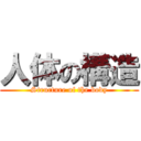 人体の構造 (Structure of the body)