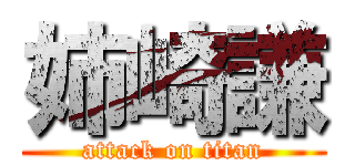 姉崎謙 (attack on titan)