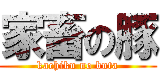 家畜の豚 (kachiku no buta)