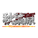 秋葉原 (The dreamland)