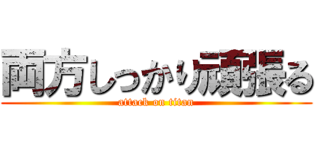 両方しっかり頑張る (attack on titan)