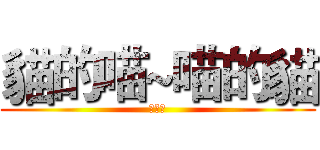 貓的喵~喵的貓 (黑執事)