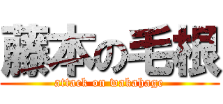 藤本の毛根 (attack on wakahage)