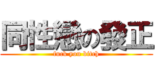 同性戀の發正 (fuck you bitch)