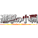 進撃の小珮 (attack on titan)