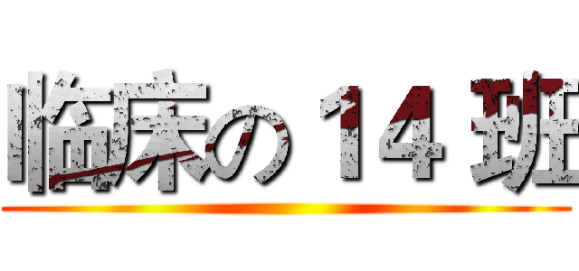 临床の１４ 班 ()