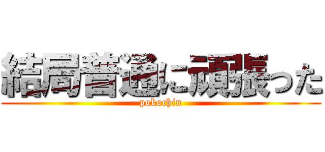 結局普通に頑張った (pokochin)
