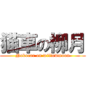 猫車の柳月 (Nekocar on willowmoon)