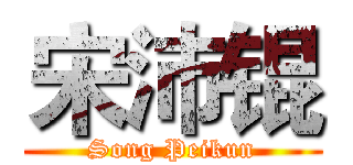 宋沛锟 (Song Peikun)