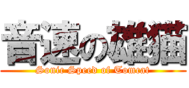 音速の雄猫 (Sonic Speed of Tomcat)