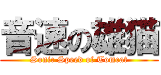 音速の雄猫 (Sonic Speed of Tomcat)
