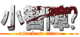 小智障嗎 (attack on titan)