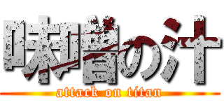 味噌の汁 (attack on titan)