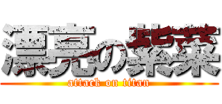 漂亮の紫菜 (attack on titan)