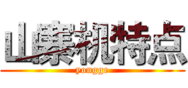 山寨机特点 (yongge)
