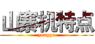 山寨机特点 (yongge)