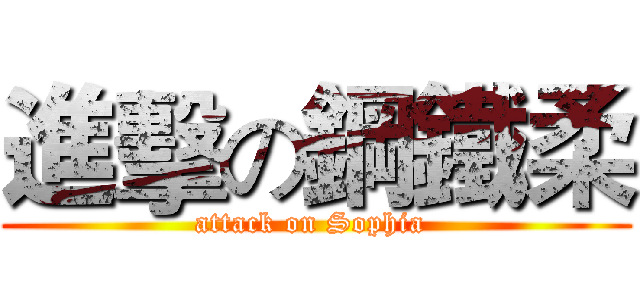 進擊の鋼鐵柔 (attack on Sophia )