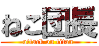 ねこ団長 (attack on titan)