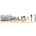 勉強めんどい！！ ()
