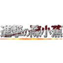 進撃の陳小蕉 (attack on banana)