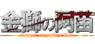 金獅の阿苗 (samuel on golden lion)