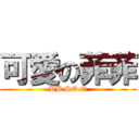 可愛の菲菲 (BB SO Q)