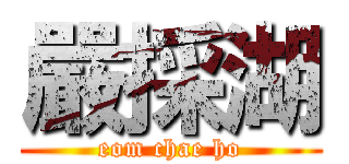 嚴採湖 (eom chae ho)