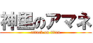 神里のアマネ (attack on titan)