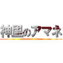 神里のアマネ (attack on titan)