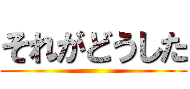 それがどうした ()