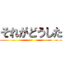 それがどうした ()