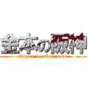 金本の阪神 (Tigers for Kanemoto)