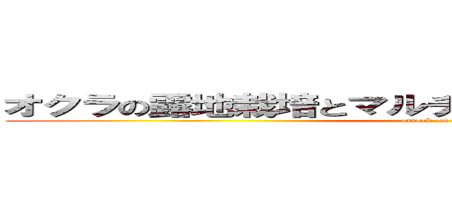 オクラの露地栽培とマルチ栽培の葉数と草丈の違い (attack on titan)