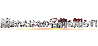 踏まれたはなの名前も知らずに ()