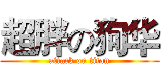 超胖の狗华 (attack on titan)