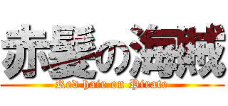 赤髪の海賊 (Red hair on Pirate)