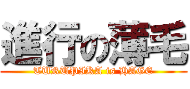 進行の薄毛 (TURUPIKA is HAGE)