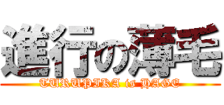 進行の薄毛 (TURUPIKA is HAGE)