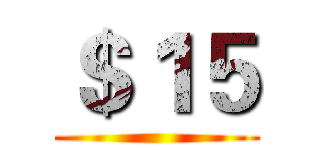 ＄１５ ()