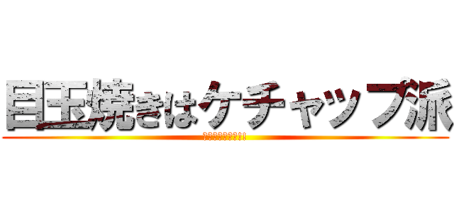 目玉焼きはケチャップ派 (醤油も好きだよ!!)
