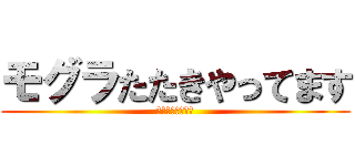 モグラたたきやってます (ぜひ来てください)