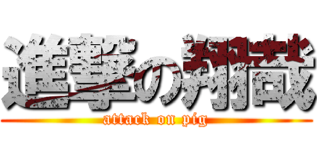 進撃の翔哉 (attack on pig)