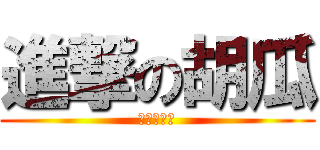 進撃の胡瓜 (千寿農園産)