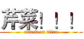 芹菜！！！ (attack on titan)