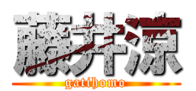 藤井涼 (gatihomo)