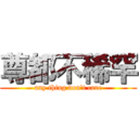 尊都不稀罕 (any thing don\'t care)