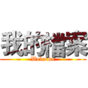 我的檔案 (Welcome)