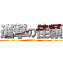 進撃の佳穎 (指考加油喔!)